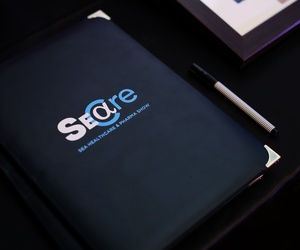 SL-2.jpg